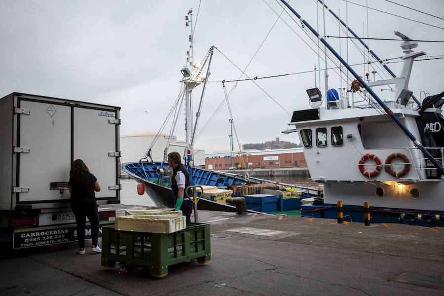 El primer bonito de la temorada subastado en EL Musel alcanzó el precio de 16,97 euros el kilo. En total fueron rulados 5.300 kilos del túnido