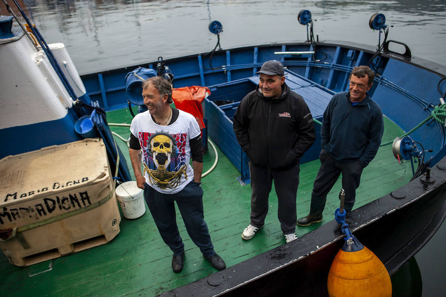 El primer bonito de la temorada subastado en EL Musel alcanzó el precio de 16,97 euros el kilo. En total fueron rulados 5.300 kilos del túnido