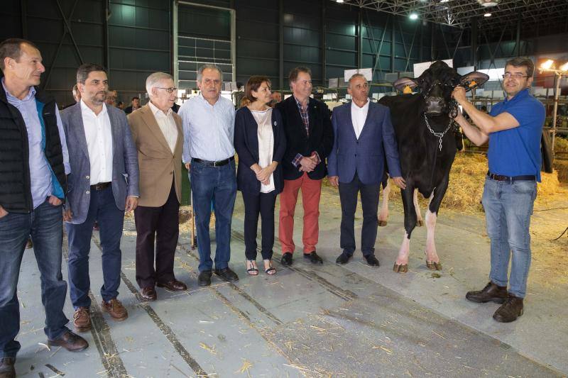 Fotos: Feria de San Antonio en Gijón