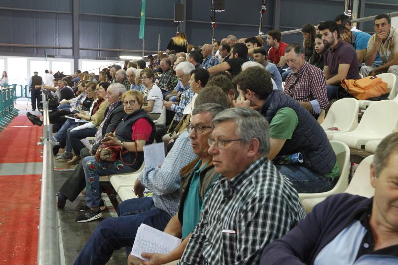 La ganadería gozoniega Badiola vuelve a alzarse con el primer premio de raza Frisona