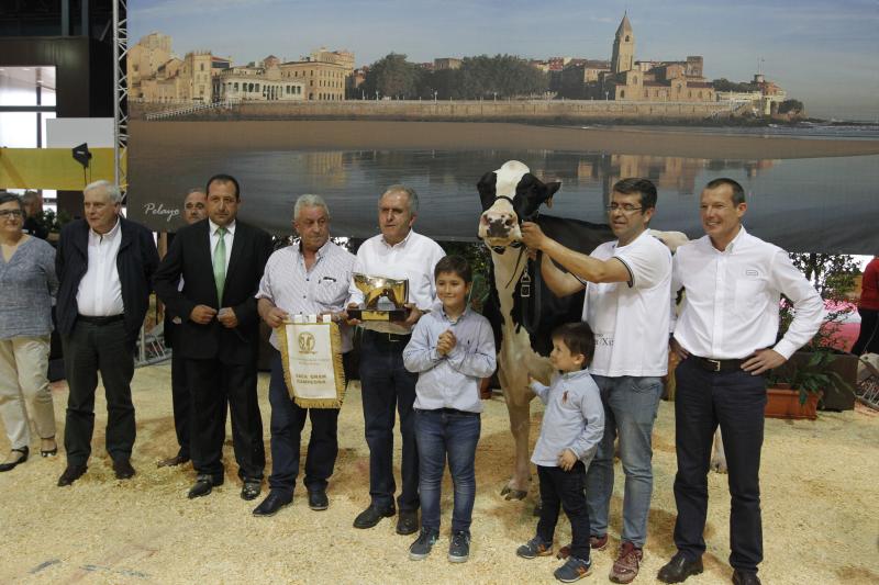 La ganadería gozoniega Badiola vuelve a alzarse con el primer premio de raza Frisona