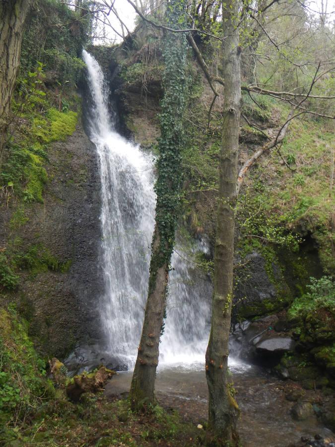 Cascadas de Asturias. Salto de Máñoles (Tineo)