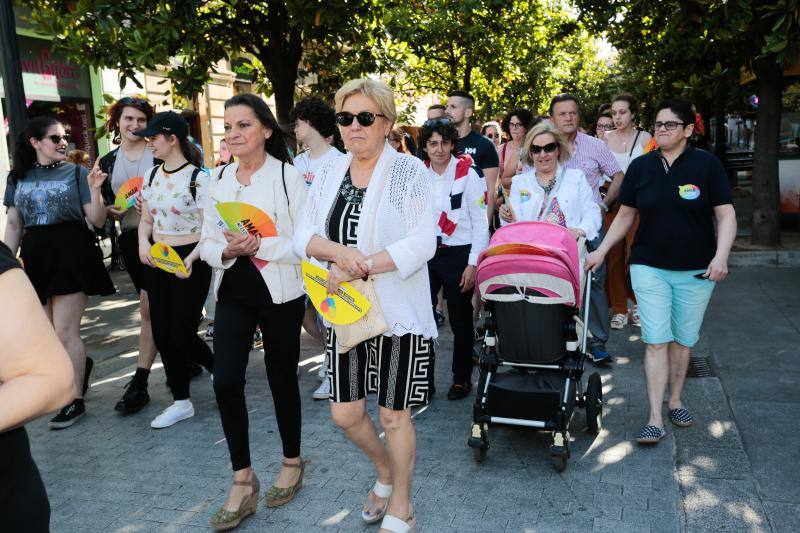 La manifestación del Orgullo, que reunió a cientos de personas, reclamó la urgente tramitación de una ley para proteger a las personas transexuales