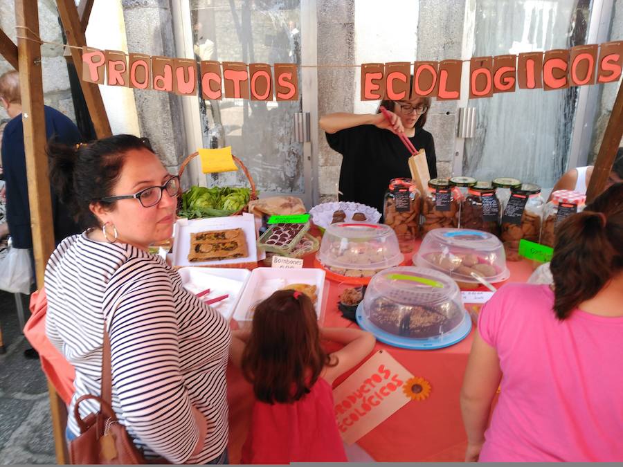 Fotos: XIII Domingo de Mercado en Boal