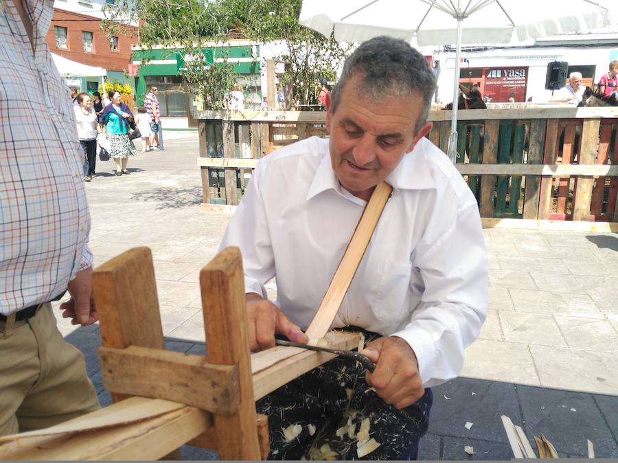 Fotos: XIII Domingo de Mercado en Boal