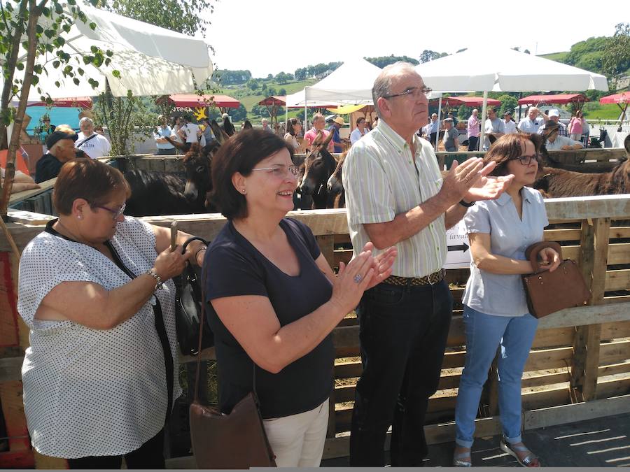 Fotos: XIII Domingo de Mercado en Boal