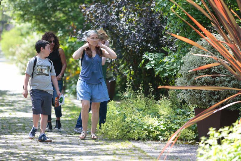 Visitas guiadas, una divetida yincana, talleres, charlas y presentaciones o música en directo fueron algunas de las actividades realizadas durante la jornada dominical