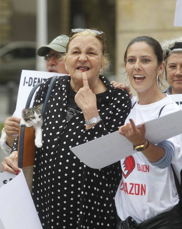 La plantilla de EMTUSA, para reclamar un convenio digno y los vecinos de Cimavilla para exigir la pista cubierta, se han concentrado en la plaza Mayor. También lo han hecho los afectados por el cierre de iDental y los que rechazan los desahucios de La Camocha