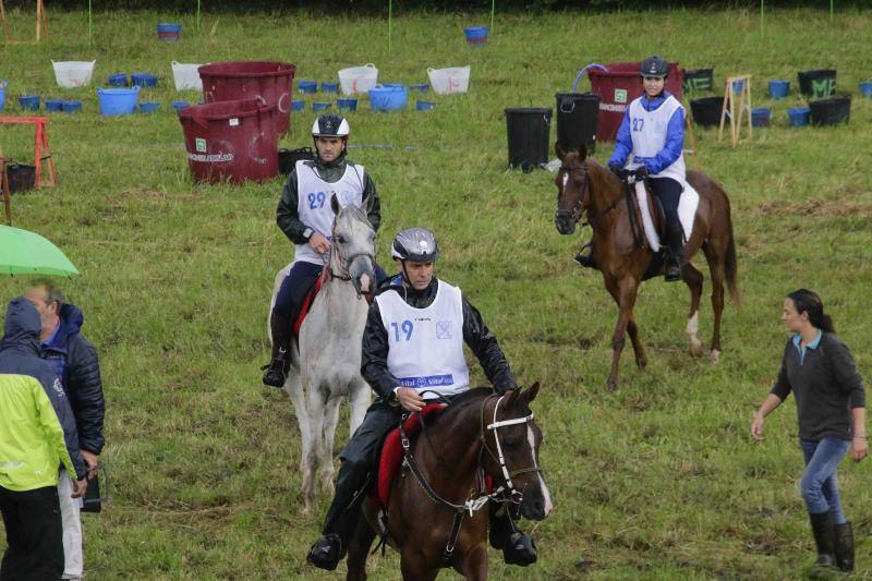 Medio centenar de binomios participaron en esta cita de la localidad ribadedense.
