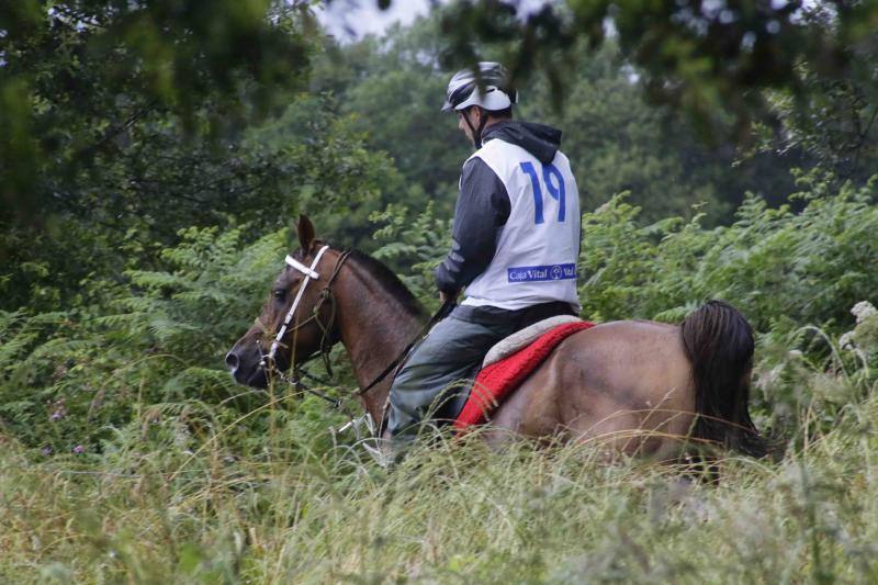 Medio centenar de binomios participaron en esta cita de la localidad ribadedense.