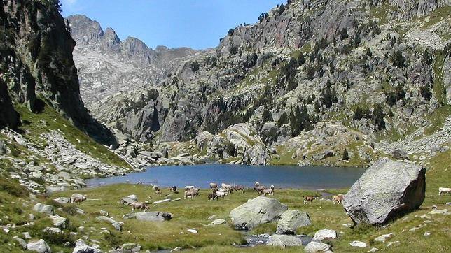 Aigüestortes y Lago de San Mauricio (Pirineo de Lleida, Cataluña). Más de 200 lagos y meandros de alta montaña distinguen a este parque nacional, un paraíso para los amantes de la naturaleza, que podrán encontrar pronunciados picos y una gran diversidad de flora y fauna de origen alpino o boreal. 