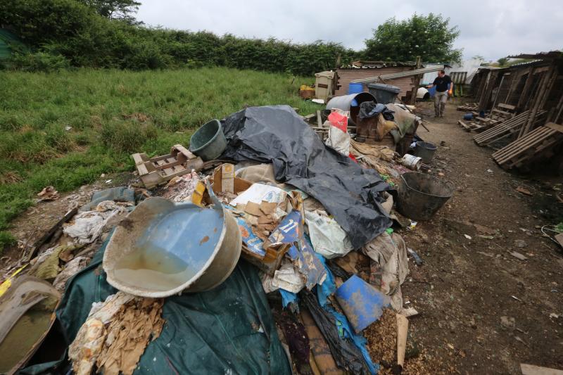 La Policía Local de Avilés desaloja una finca de La Luz en la que estaban hacinados 147 perros