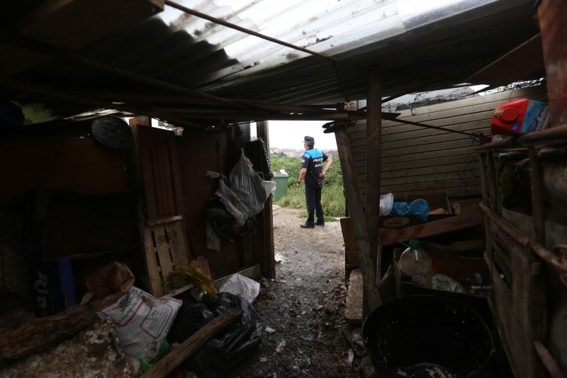 La Policía Local de Avilés desaloja una finca de La Luz en la que estaban hacinados 147 perros