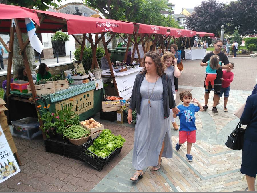 La capital del concejo de El Franco acoge este fin de semana una nueva edición de Artenatur, un certamen dedicado a los recursos naturales, el turismo y la cultura en el que se dan cita grandes y pequeños. 