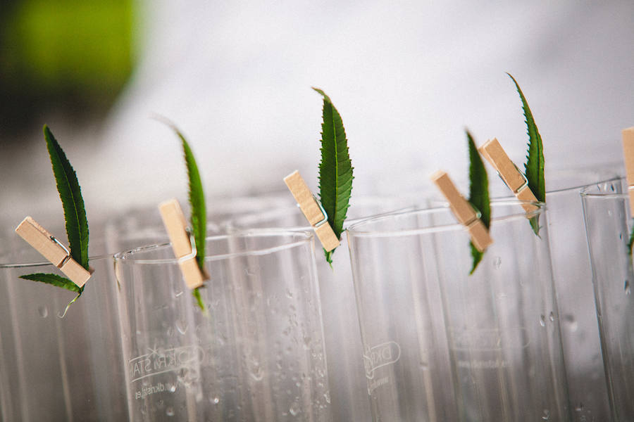 Un año más se celebra en Gijón la degustación de ginebras más importante del norte de España, organizada por el EL COMERCIO y Gustatio