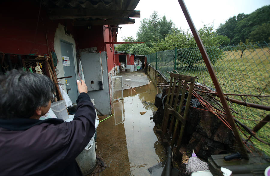 Otra gran tromba de agua ha causado inundaciones en Oviedo, anegando comercios y provocando complicaciones circulatorias. Las zonas más afectadas, al igual que en tormentas anteriores, han sido las de Palais, en la rotonda en la que está ubicada una residencia de ancianos, y la zona oeste de la ciudad. También se cuentan crecidas y argayos, como los que afectan a Ponteo o el que corta el acceso a la parte alta de Puerto, en Las Caldas.