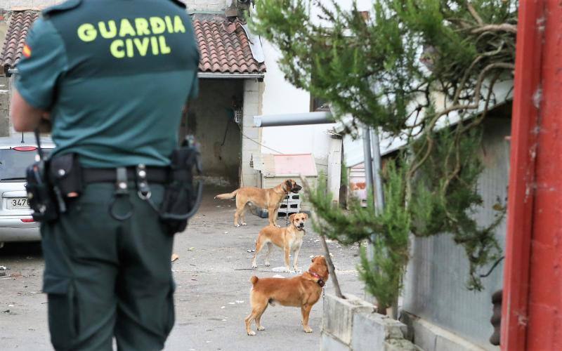 Evangelista C. D. no pudo superar las lesiones que le causaron los canes cuando accedió a la parcela en la que se encontraban para visitar a su propietario