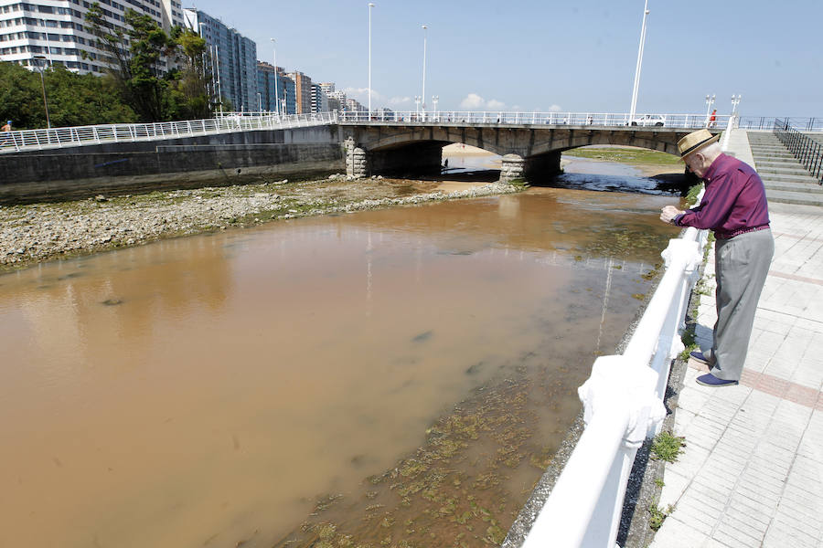 Fotos: El río Piles de Gijón, marrón y con espuma tras las tormentas