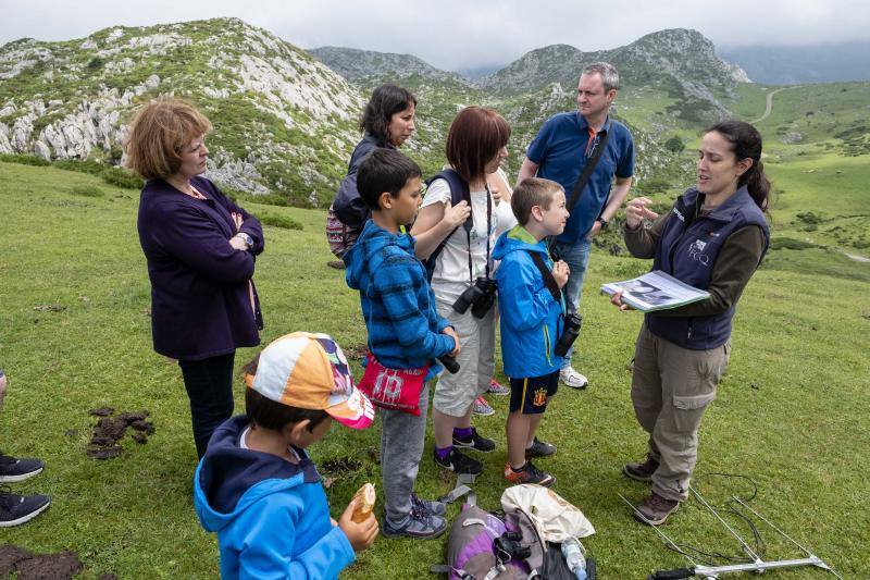 La Fundación Quebrantahuesos inicia su segundo verano de visitas científicas, un proyecto de ecoturismo que la pasada temporada reunió a 416 usuarios.