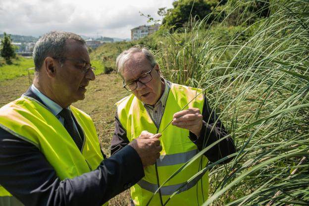 Fernando Lastra y Tomás Díez analizan una de las plantas. 