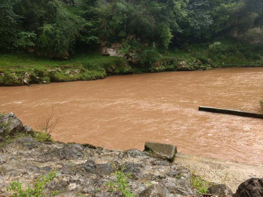 El desprendimiento del Oriente se produjo esta tarde en las inmediaciones de la gasolinera de Arenas y corta la AS-114 que une el concejo con Panes. En Grado, permanece cortada la AS-311