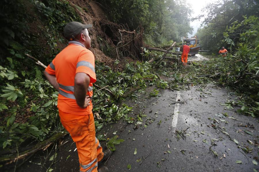 El desprendimiento del Oriente se produjo esta tarde en las inmediaciones de la gasolinera de Arenas y corta la AS-114 que une el concejo con Panes. En Grado, permanece cortada la AS-311
