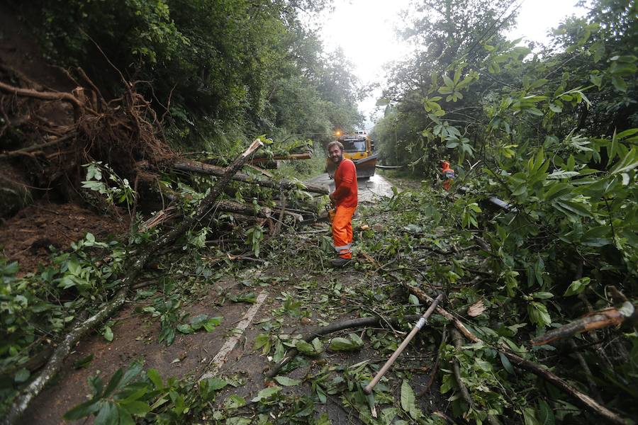 El desprendimiento del Oriente se produjo esta tarde en las inmediaciones de la gasolinera de Arenas y corta la AS-114 que une el concejo con Panes. En Grado, permanece cortada la AS-311
