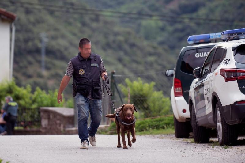 Un centenar de agentes rastrea la comarca de Liébána en busca del hombre de 58 años que huyó tras once horas atrincherado en su casa de Turieno (Camaleño) y protagonizar un tiroteo con la Guardia Civil. Un agente resultó herido leve.