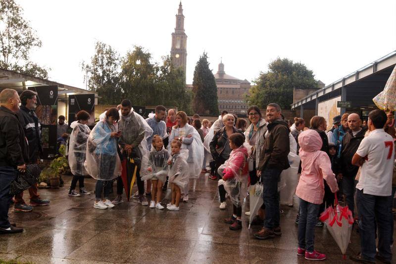 El público familiar no quiso perderse el vuelo de las aves rapaces que se exhibió en el jardín gijonés.