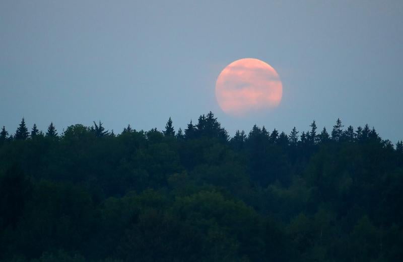 Desde Múnich (Alemania) también se ha podido observar el eclipse lunar.