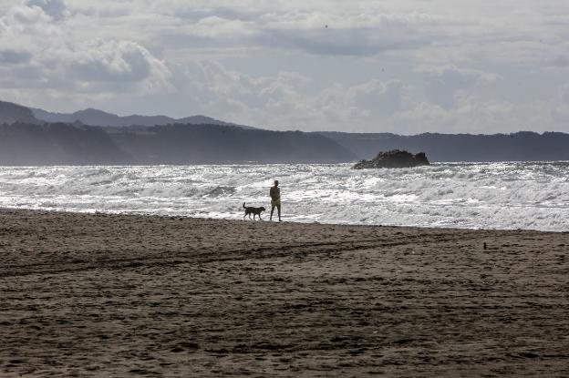 Imagen de archivo de un perro paseando junto a su dueño por la playa de Bayas. 