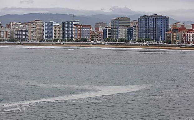 Manchas en la bahía de San Lorenzo.