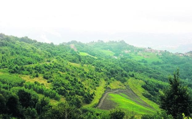 En la ladera norte de La Matona, perteneciente al concejo de Langreo, se pueden observar los cortes en el terreno de la antigua explotación a cielo abierto de la Mozquita. 