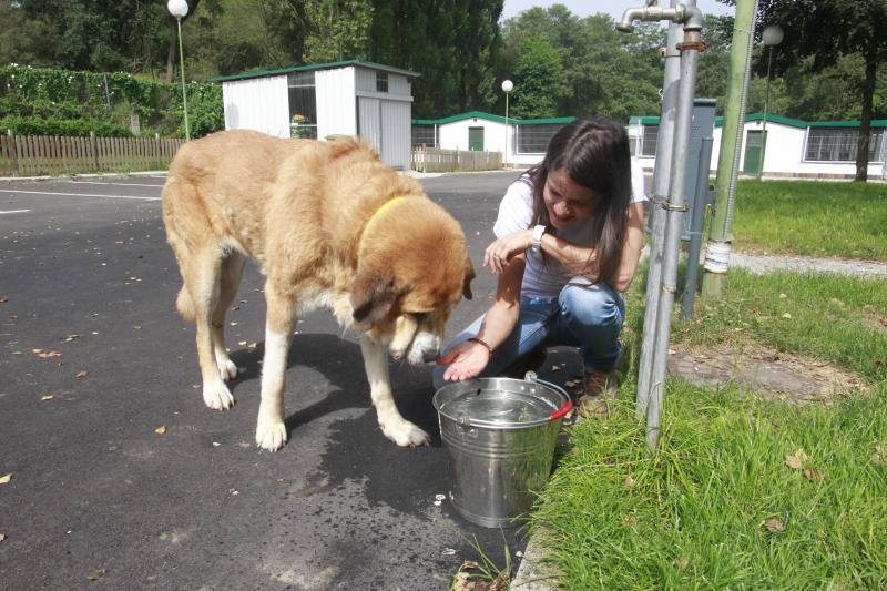Este lunes los termómetros alcanzarán los treinta y cinco grados de máxima. Una situación que cambiará radicalmente a partir de mañana