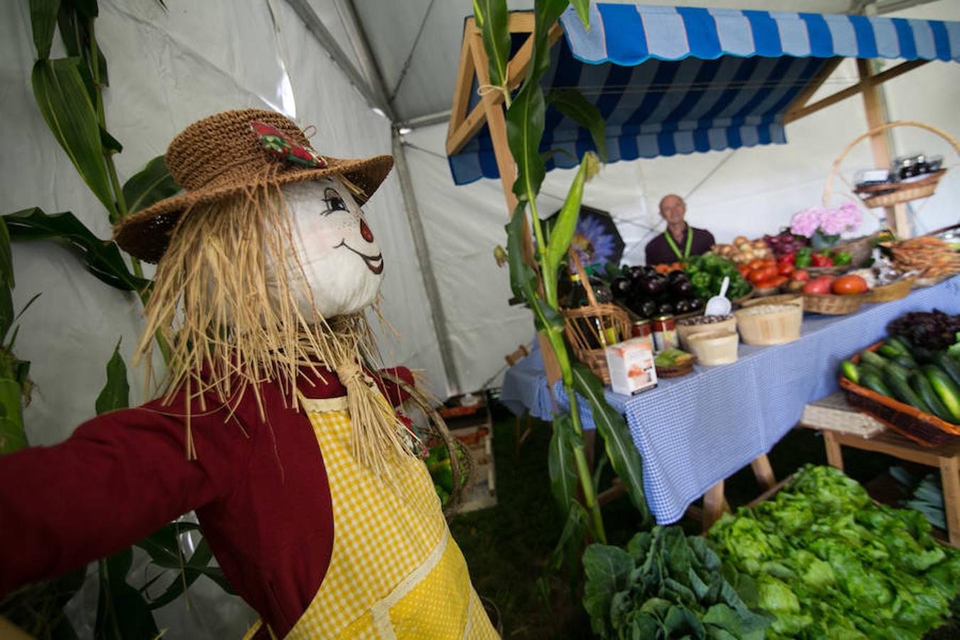 La Feria Agroalimentaria de Productos Ecológicos de Asturias (FAEPA) coincidirá con el 44 Concurso Exposición de Ganado Vacuno de Llanera, en el que se hará subasta, por primera vez, de veinticinco reses de las razas asturianas, y de una pareja de bueyes.