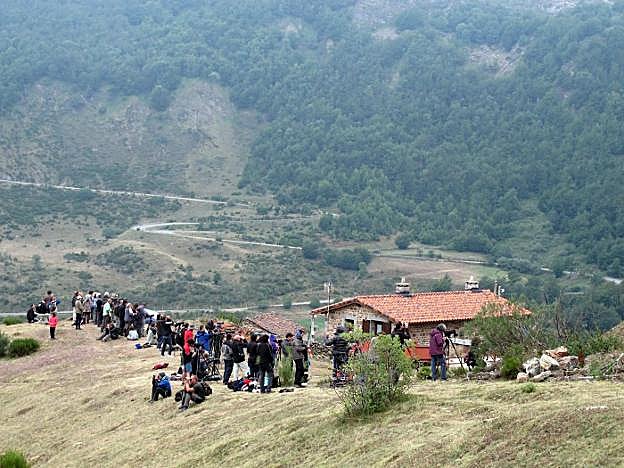 Varias personas esperan apostadas en la zona de La Peral, en el concejo de Somiedo, para ver y fotografiar osos pardos en libertad. 