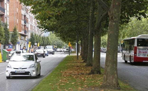 Emulsa recurre a un contrato externo para podar árboles en cuatro avenidas
