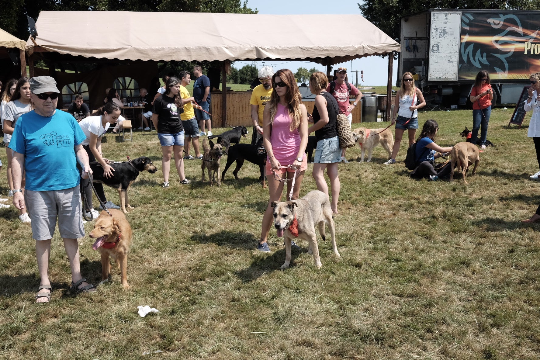 19 perros, del albergue de Serín, con pañuelo rojo sobre el cuello, a los que se busca un hogar, desfilaron por el recinto habilitado en Los Pericones, donde el barrio de Contrueces celebra su fiesta