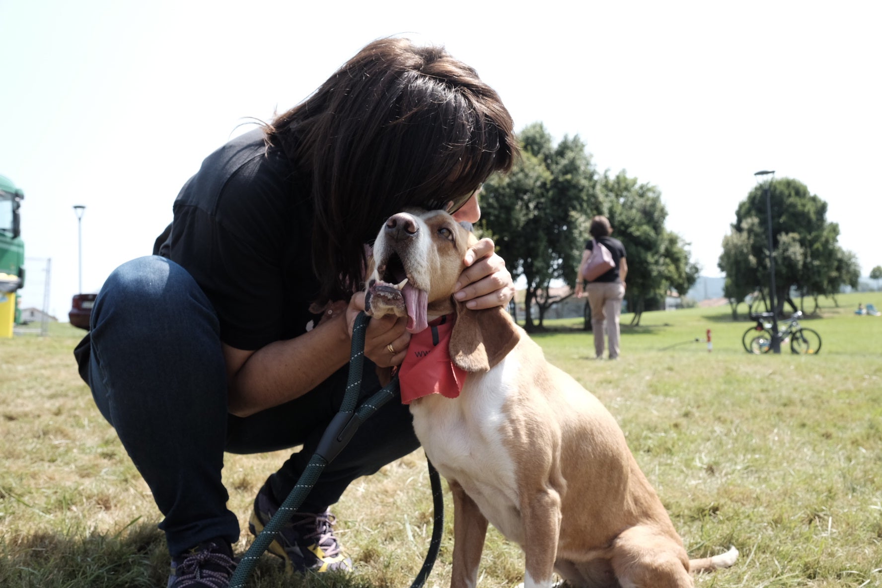 19 perros, del albergue de Serín, con pañuelo rojo sobre el cuello, a los que se busca un hogar, desfilaron por el recinto habilitado en Los Pericones, donde el barrio de Contrueces celebra su fiesta