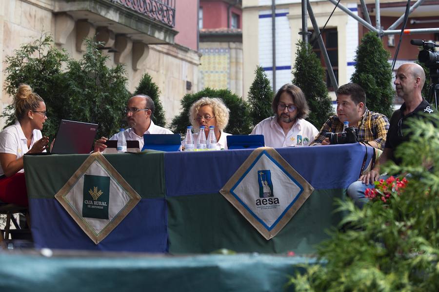 La XXV edición del certamen bate récord de participación