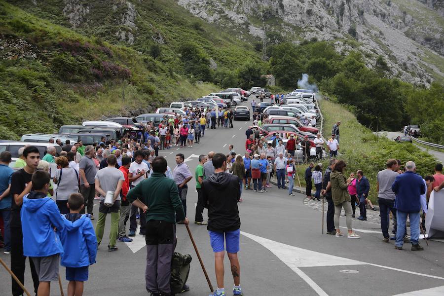 Centenares de ganaderos de la comarca oriental, hartos de los continuos ataques del lobo a sus animales, han cortado la carretera entre el aparcamiento de Obar y Poncebos para reclamar soluciones efectivas
