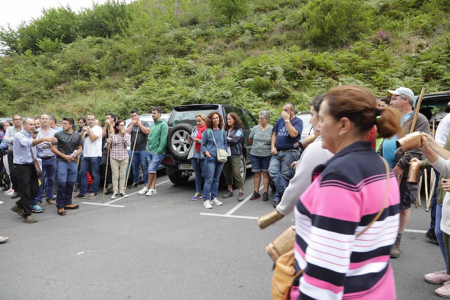 Centenares de ganaderos de la comarca oriental, hartos de los continuos ataques del lobo a sus animales, han cortado la carretera entre el aparcamiento de Obar y Poncebos para reclamar soluciones efectivas