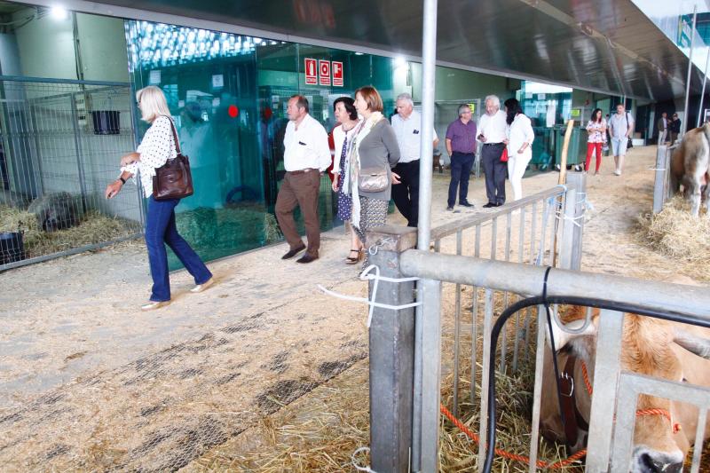 El 136º Certamen de Ganado de San Agustín exhibe seis centenares de reses en el pabellón de La Magdalena.