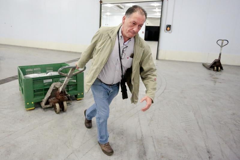 La subasta de más de 45.000 kilos de bonito en las rulas de Gijón y Avilés ha puesto fin a la campaña más corta de la historia. Cinco han sido los barcos que han desembarcado en Asturias, donde se ha alcanzado un precio máximo de nueve euros. 