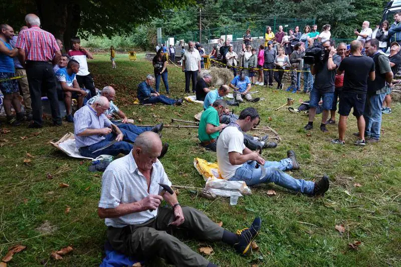 A pesar de la lluvia, decenas de personas disfrutaron en Benia de Onís de la Fiesta del Segador. Carrera de sacos, con madreñes y portando a las espaldas un 'sábanu' cargado de hierba fueron las modalidades de atletismo de esta ya clásica olimpiada veraniega de deporte rural en la que también se compitió en las especialidades de cabruñu, segado a guadaña y tiro de cuerda. 