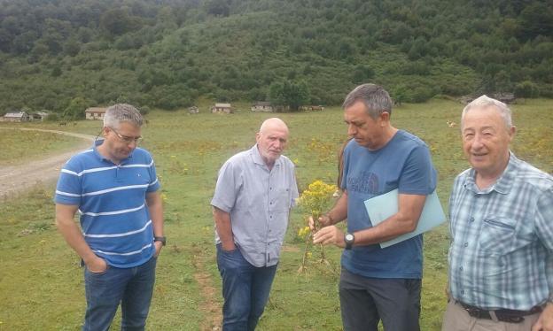 Rubén Rodríguez, director del parque; Miguel Ángel Fernández, alcalde de Caso; Manuel Calvo, director de Biodiversidad, y Juan Manuel Rionda presidente de la Federación de Montaña, en Brañagallones. 