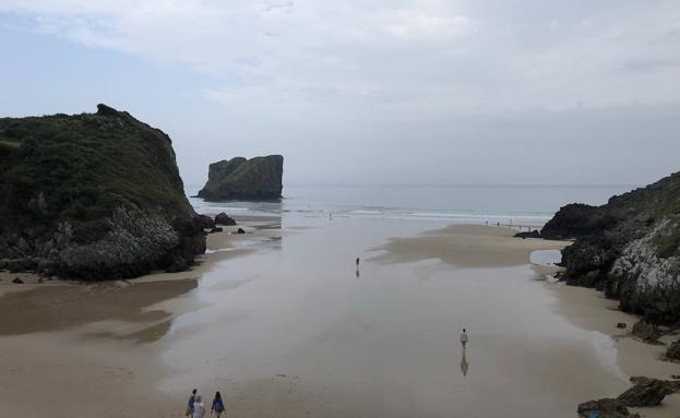 Playa de San Matín donde apareció en animal.