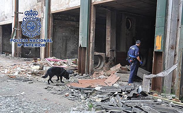 Uno de los perros de la unidad incorporada a la búsqueda de María Josefa Carnerero