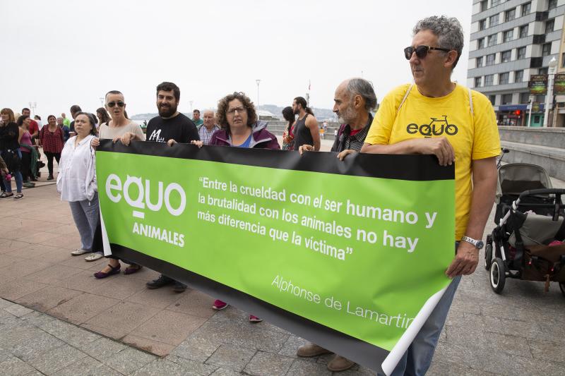Varios grupos ecologistas se han concentrado en Gijón para expresar su rechazo a la caza indiscriminada del lobo. Insisten en que se están matando lobos «de forma empecinada» y que así «no se logra solucionar nada».