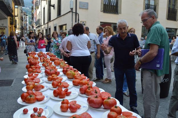 Asistentes hacen sus apuestas ante la mesa en la que se exhiben los tomates que optan al premio. 